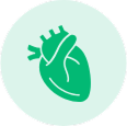 Feature icon